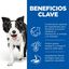 2.5 kg Hill's Science Plan Youthful Vitality Medium Adult Pollo pienso para perros, , large indicador imagen numero 6
